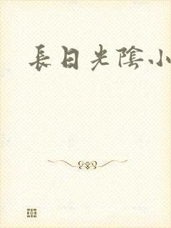 长日光阴小说