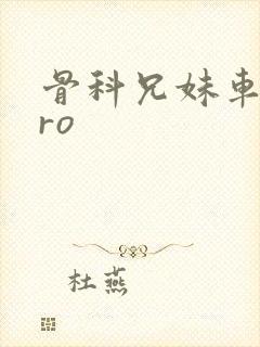 骨科兄妹车多pro