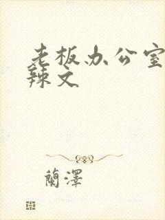 老板办公室系列辣文