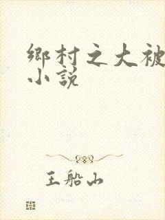 乡村之大被同眠小说