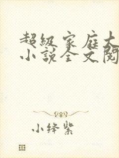 超级家庭大杂烩小说全文阅读