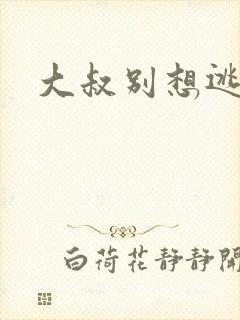 大叔别想逃