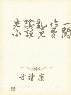 光阴乱作一团的小说免费阅读