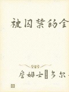 被囚禁的金丝雀