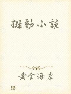 挺动小说