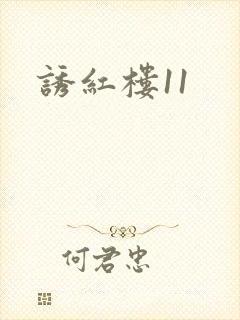 诱红楼11
