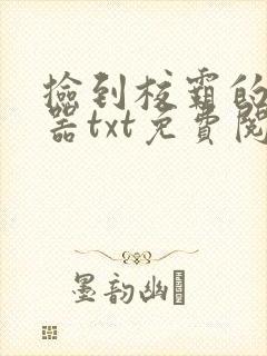 捡到校霸的遥控器txt免费阅读