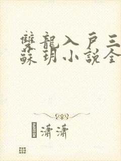 双龙入户三人行苏玥小说全文阅读
