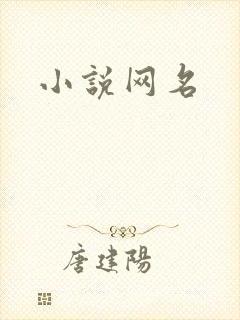 小说网名