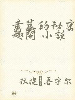 黄蓉的秘密 笔趣阁 小说