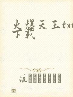 火爆天王txt下载