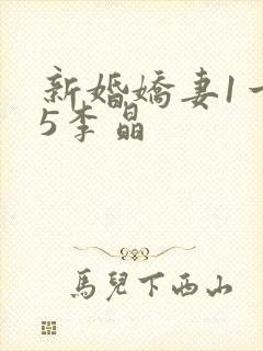 新婚娇妻1一25李晶