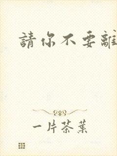 请你不要离开我