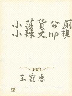 小荡货公厕h文小辣文np视频