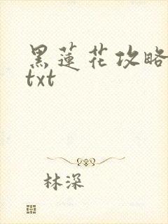 黑莲花攻略手册txt