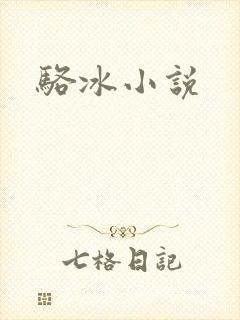 骆冰小说