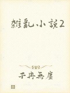 杂乱小说2