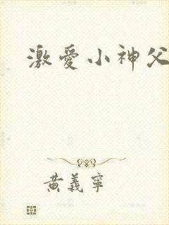 激爱小神父
