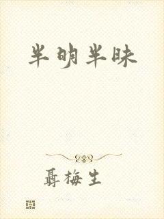 半明半昧