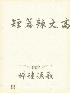 短篇辣文高h