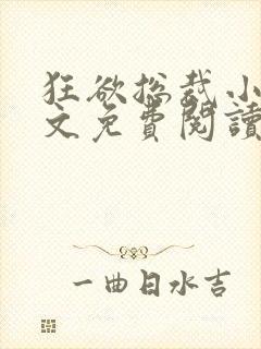 狂欲总裁小说全文免费阅读