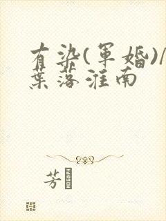 有染(军婚)/叶落淮南