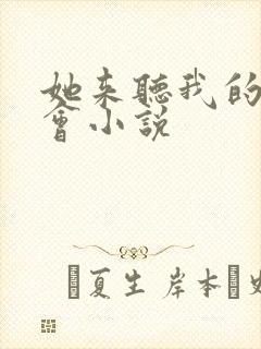 她来听我的演唱会小说