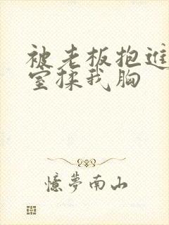 被老板抱进办公室揉我胸