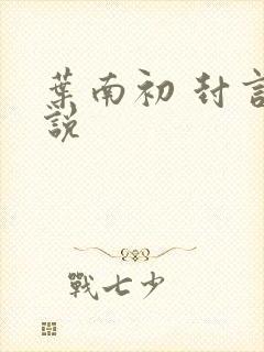 叶南初 封言小说