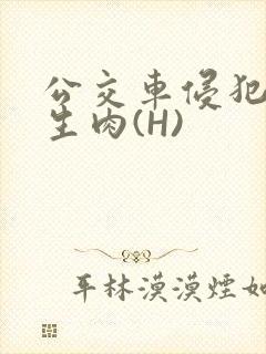 公交车侵犯小男生肉(H)