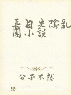 长日光阴乱作一团小说