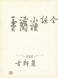 王浩小说全文免费阅读