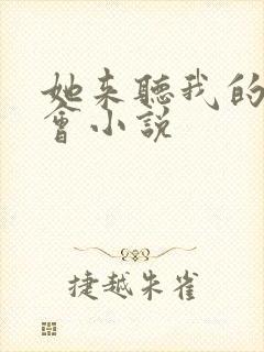 她来听我的演唱会小说