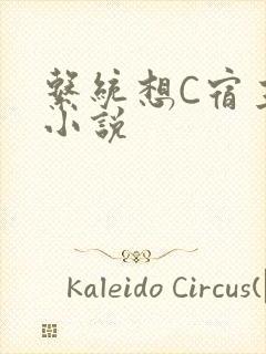 系统想C宿主的小说