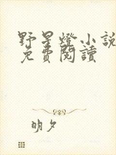 野星灯小说全文免费阅读