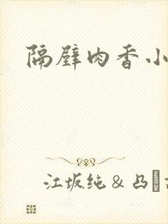 隔壁肉香小说