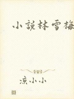 小说林雪梅
