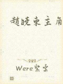 赵晓东主角小说