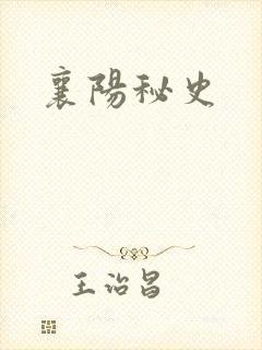 襄阳秘史