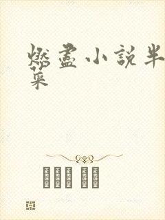 燃尽小说半截白菜