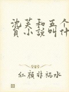 沈芙和五个消防员小说叫什么