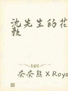 沈先生的花式调教