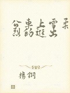 公车上雪柔被猛烈的进出