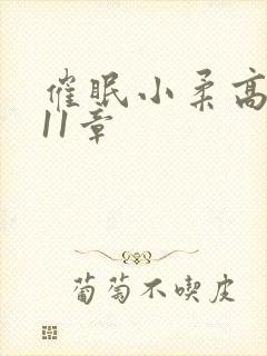 催眠小柔高达第11章