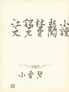 江铭林熙小说全文免费阅读