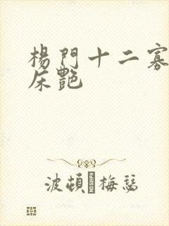 杨门十二寡妇肉床艳