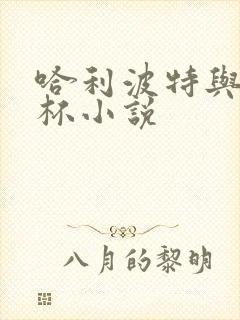 哈利波特与火焰杯小说