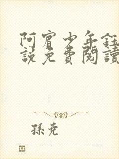 阿宾少年钰慧小说免费阅读笔趣阁