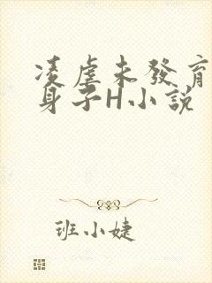 凌虐未发育的小身子H小说