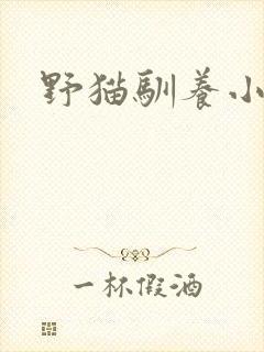 野猫驯养小说